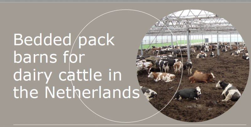 Compost Barns Research Paper ( Nl)