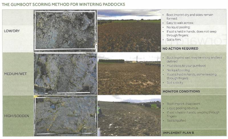 Wintering And New Options Ahead