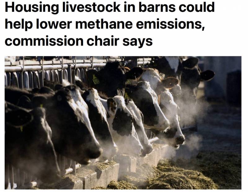 Housing Cows Could Help Mitigate Methane