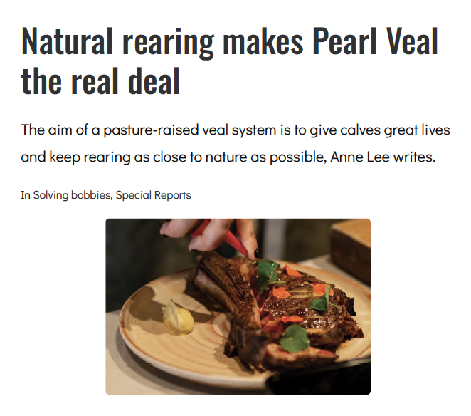 Veal The Nz Way A Further Enhancement Of The Beef And Dairy Industry