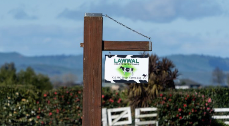 Dairy Housing On Peat Saves The Day