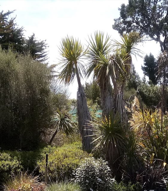 Climate Action Which Builds Agriculture