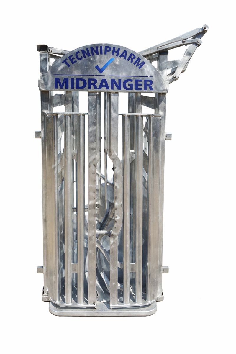 Midranger(tm) Medium Size Headbail