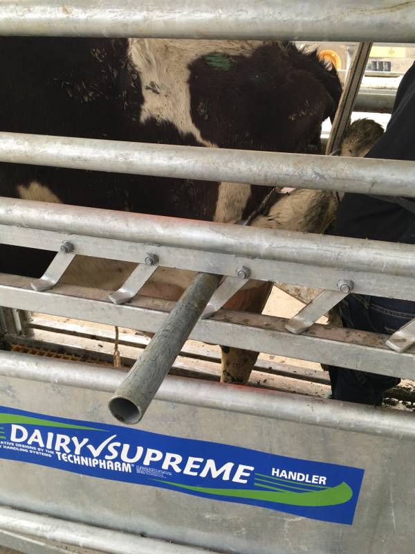 Dairy Supreme Handler Hydraulic And E Supreme