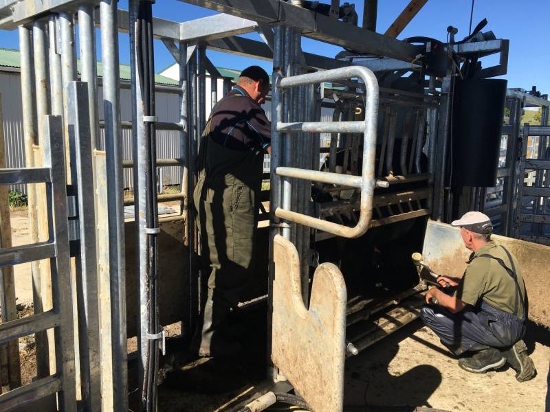 Highflow 260 Hd Extreme(tm) Cattle Handler Farm-ready