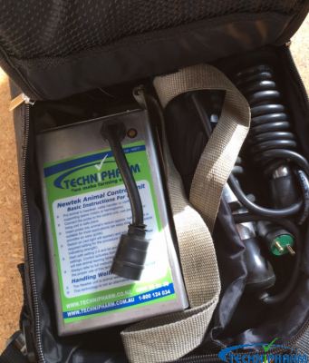 Pacifier Ex Demo/ Sold