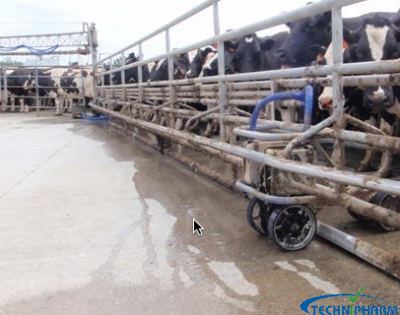 Dungbuster System Ex Trade ( Sold )