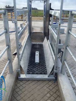 Teat Spray Handling Frames (sold)