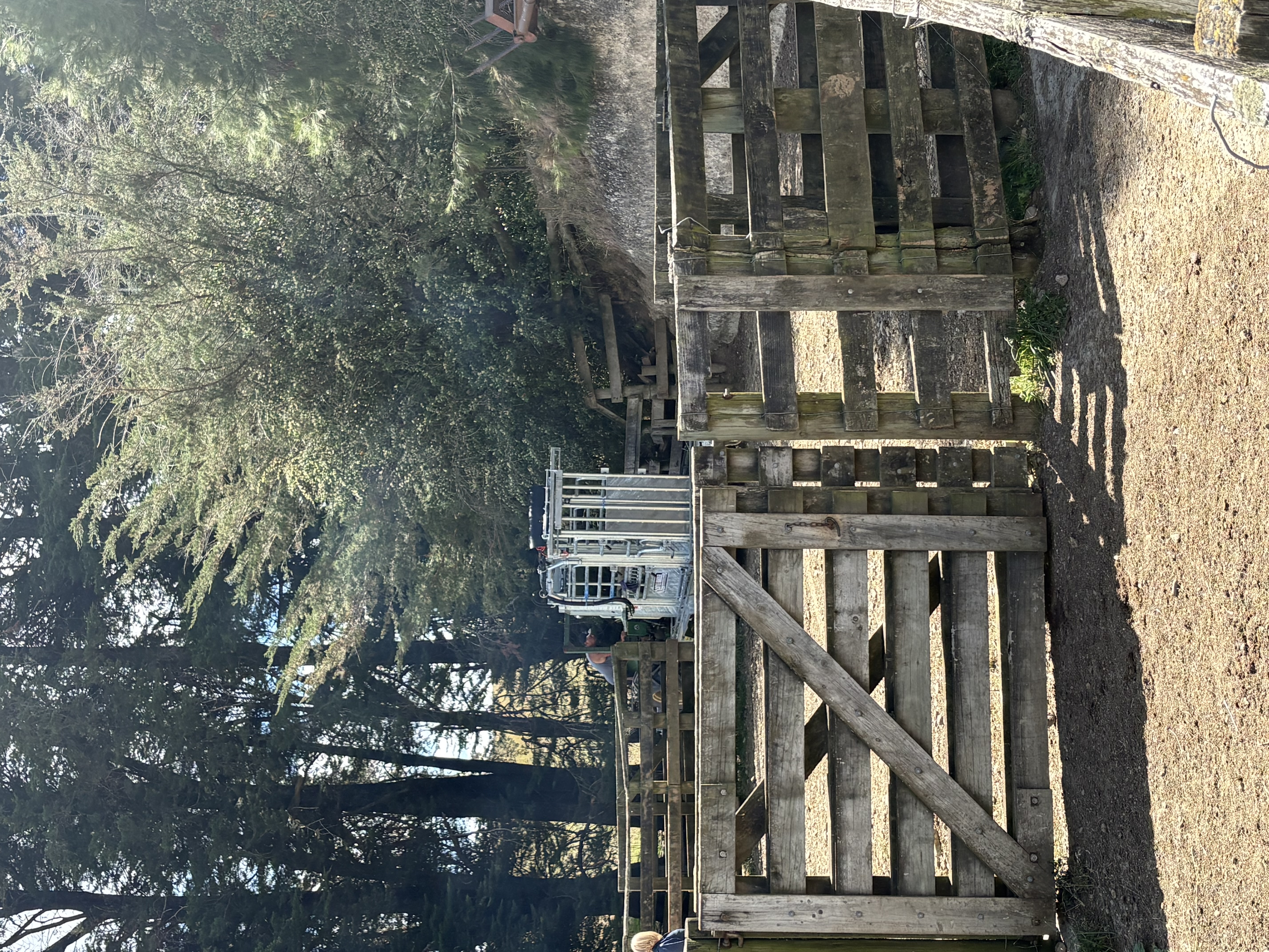 The old and the new, the future is here now