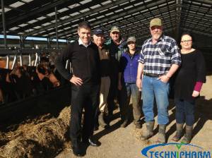 Dairy Housing