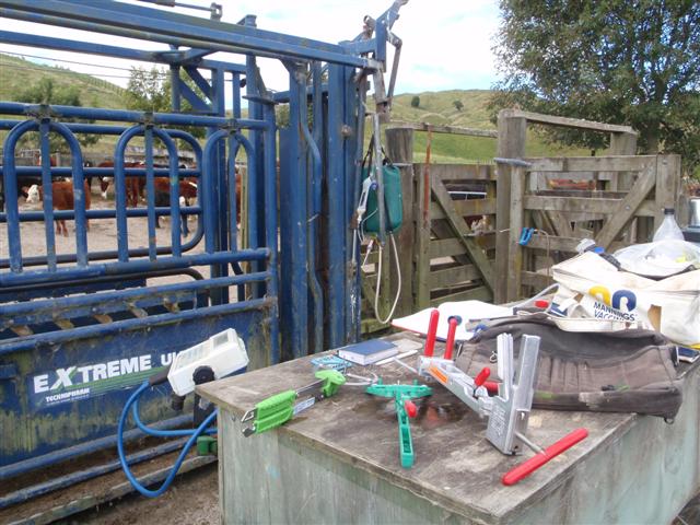 Animal Care: Castrating tools