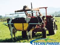 Animal Care: Anlift cattle lifter