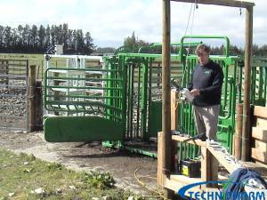 Electronic Identification for Dairy