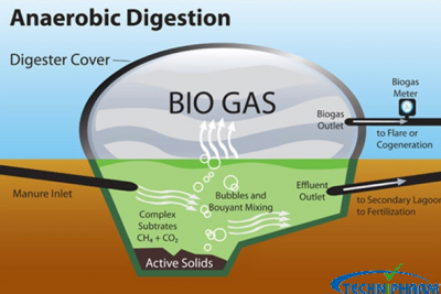 BIOGAS Generation
