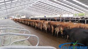 Dairy Housing  - Replacement Parts