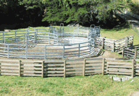Cattle Yards: Smart-Yards(tm) - Beef