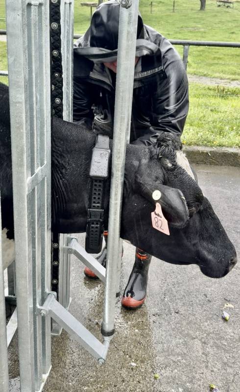 Wearable Infrastructure