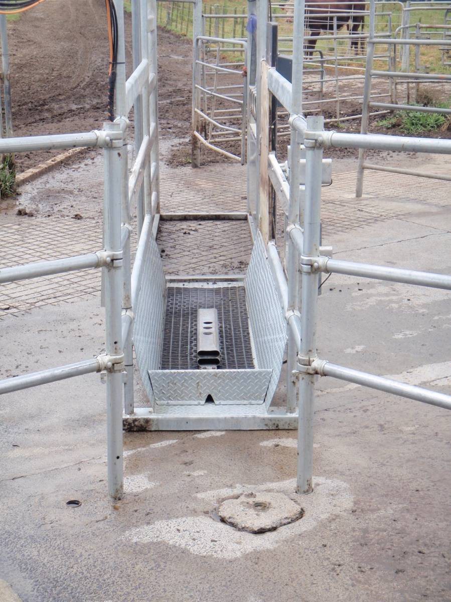 Teat Spray Solutions