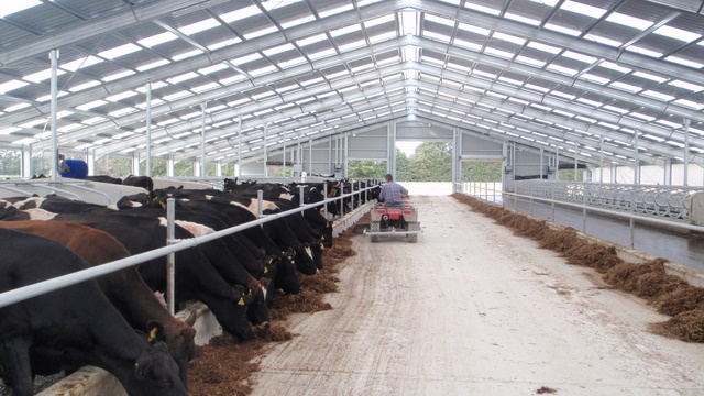 Cow House, Wintering Pad or Feed Pad