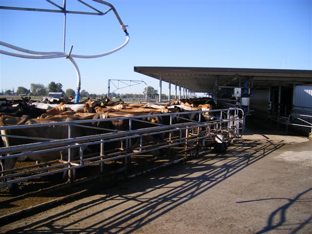 Dungbuster® Cleanwash and Greenwash Auto Yard Cleaning Systems