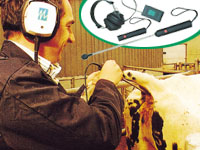 Pregnancy Detection systems