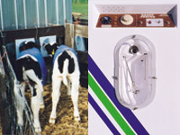 Automatic Feeders