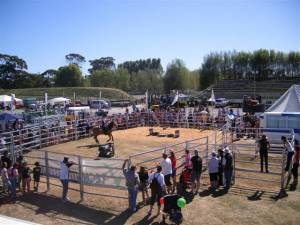 Smart-Yards™ - Equine